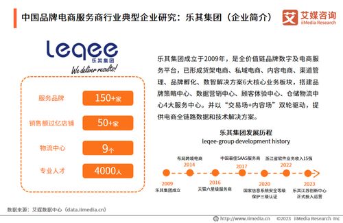 2023年中國品牌電商服務(wù)商行業(yè)研究報告 社會經(jīng)濟(jì)咨詢服務(wù)洞察